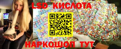 дмт Будённовск