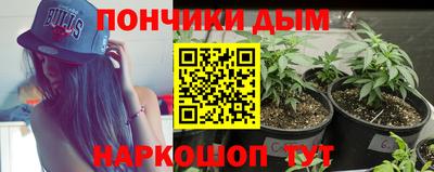 дмт Будённовск
