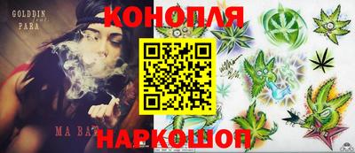дмт Будённовск